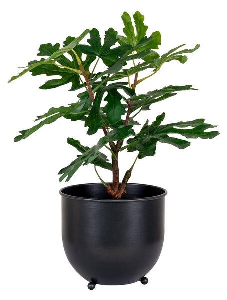 Изкуствено растение (височина 60 cm) Fig – House Nordic