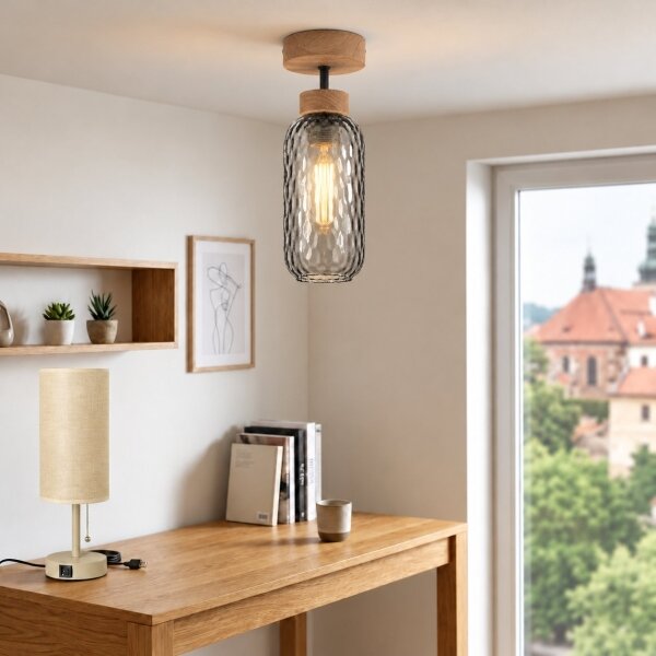 BRILAGI - LED повърхностно монтиран полилей R GLASS 1xE27/60W/230V Ø 14 см дъб/димно сиво