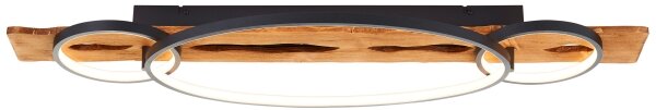 Brilliant - LED димируемо таванно осветително тяло PIRUS LED/40W/230V 30x90 см