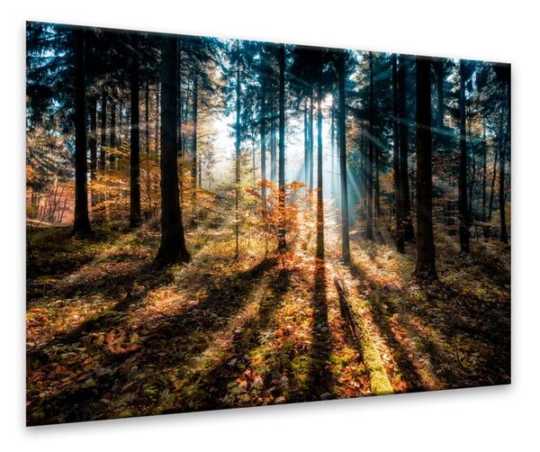 Картина Glasspik , 70 x 100 cm Autumn Sunset - Styler