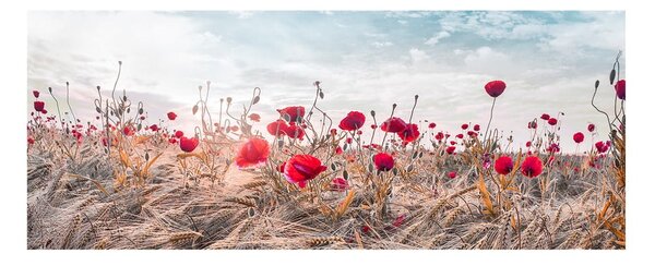 Живопис върху платно , 60 x 150 cm Poppies - Styler