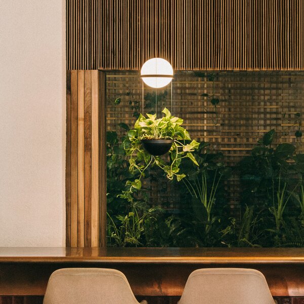 Vibia Palma 3724 Висяща лампа, саксия за растения, графит, Затъмняване, Бял, Дневна/трапезария, Стъкло, Модерен