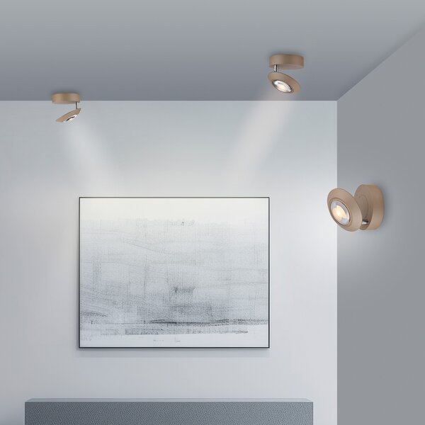 PURE LED плафон Oculis бронзов цвят, Ø 15 cm желязо/стъкло, Затъмняване, Бронзов / античен месинг, Дневна/трапезария, Метал, Модерен