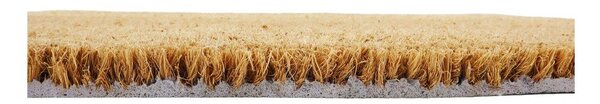 Изтривалка от кокосови влакна 40x120 cm Red & Green Floral – Artsy Doormats