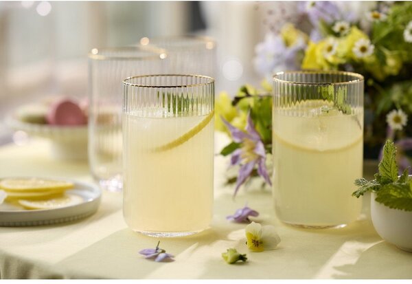 Стъклени чаши в комплект от 4 бр. 500 ml Palermo – Lyngby Glas