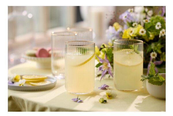 Стъклени чаши в комплект от 4 бр. 500 ml Palermo – Lyngby Glas