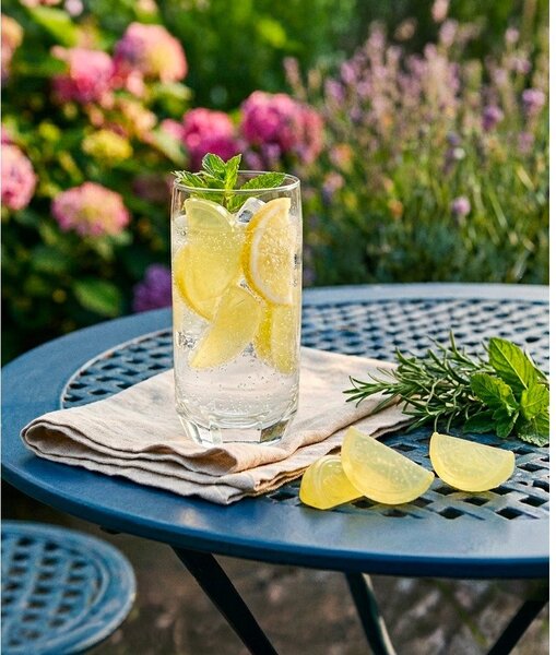 Пластмасови кубчета за охлаждане в комплект 20 бр. Lemon – Orion