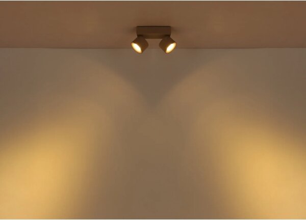 Globo 56961-2S - LED точково осветително тяло RAE 2xLED/6W/230V