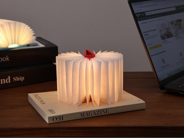 Преносима светлинна декорация с USB в естествен цвят BookLight – Gingko