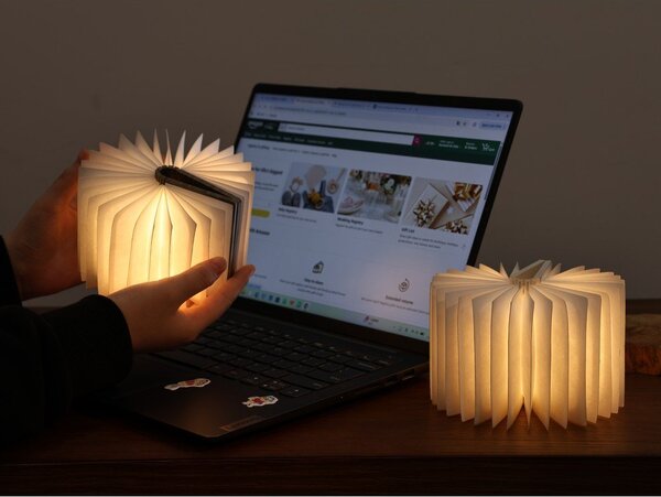 Преносима светлинна декорация с USB в естествен цвят BookLight – Gingko