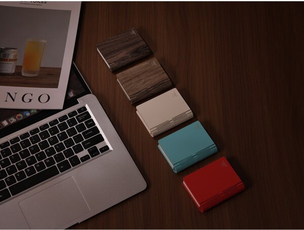 Преносима светлинна декорация с USB в естествен цвят BookLight – Gingko