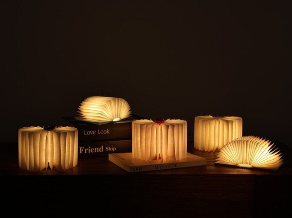 Преносима светлинна декорация с USB в естествен цвят BookLight – Gingko