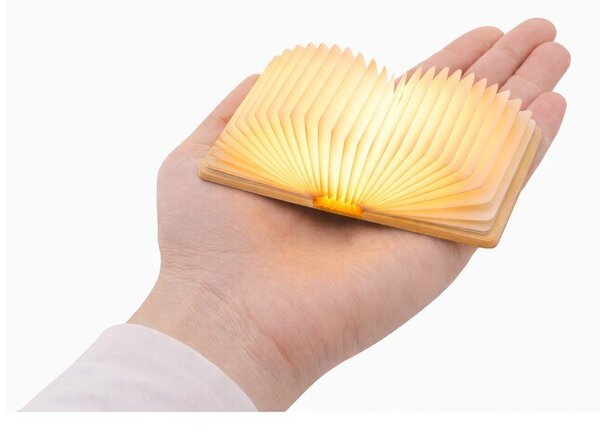 Преносима светлинна декорация с USB в естествен цвят BookLight – Gingko