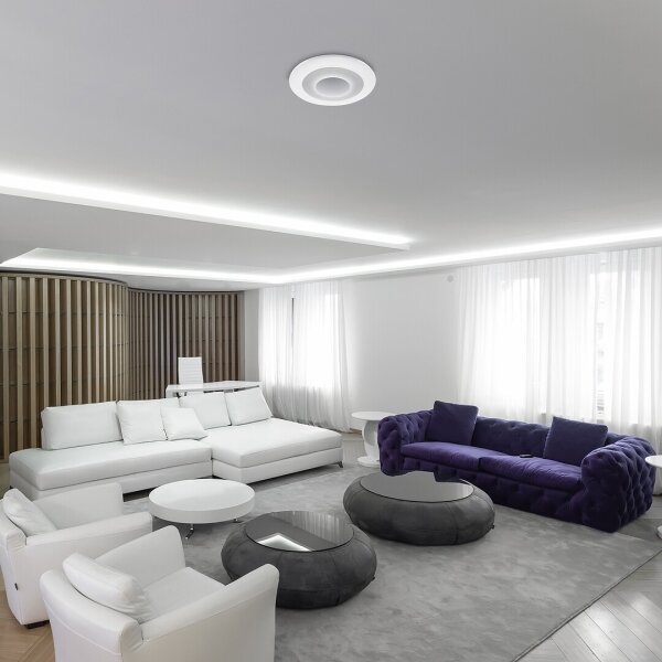 Rabalux - LED RGB Димируем плафон LED/40W/230V + д.у. 3000-6000K