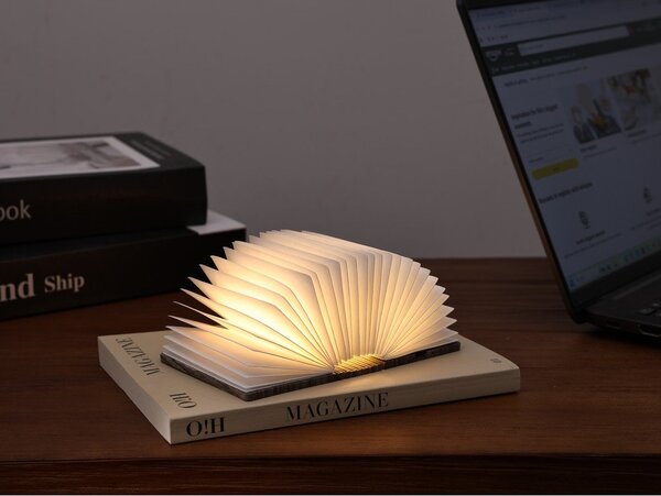 Преносима светлинна декорация с USB в естествен цвят BookLight – Gingko