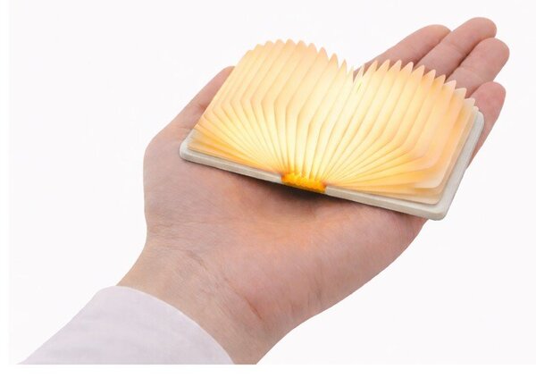 Бяла преносима светлинна декорация с USB BookLight – Gingko