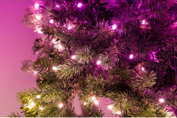 Twinkly GD20P4425P00 - LED RGB регулируема коледна верига 50xLED, 60 см, Wi-Fi