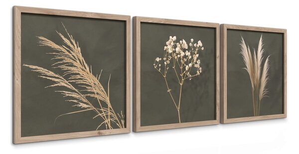 Картини в комплект 3 бр. 30x30 cm Pampas – Styler