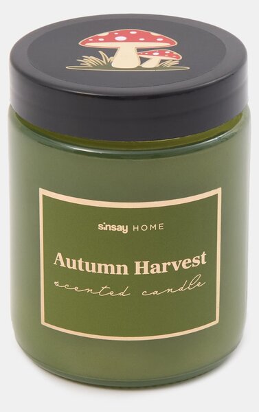 Sinsay - Свещ Autumn Harvest - жълтозелено