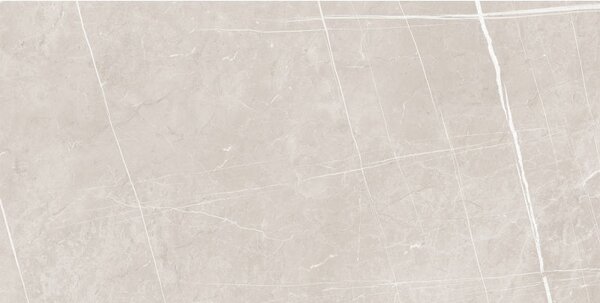 Mexen Dazzle Silver глазирани ректифицирани плочки G1, плочка за под и стена 120 x 60 см, гравировка - TL423-120-060-00