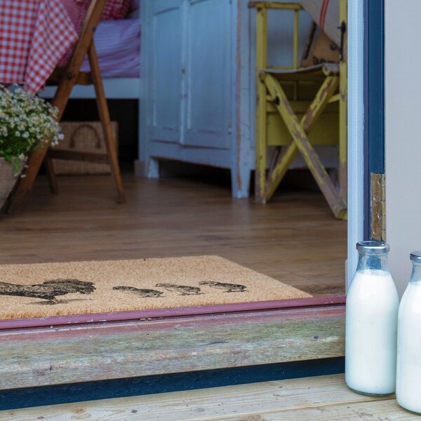 Изтривалка от кокосови влакна 40x60 cm Chickens and Chicks – Artsy Doormats