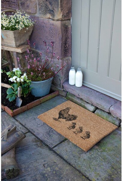 Изтривалка от кокосови влакна 40x60 cm Chickens and Chicks – Artsy Doormats