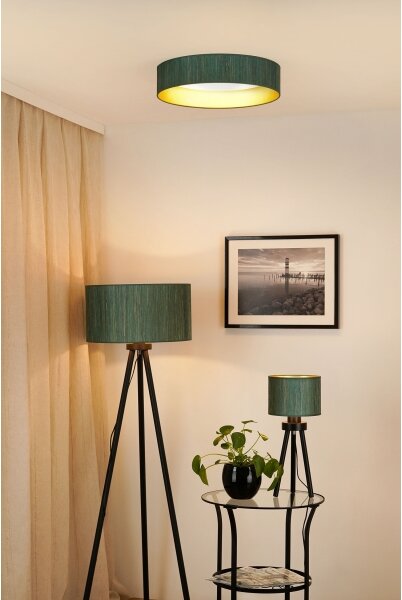 Brilagi - LED таванно осветление BOSTON ROLLER LED/24W/230V пр. 45 см зелено/зла
