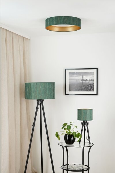 Brilagi - LED таванно осветление BOSTON ROLLER LED/24W/230V пр. 45 см зелено/зла