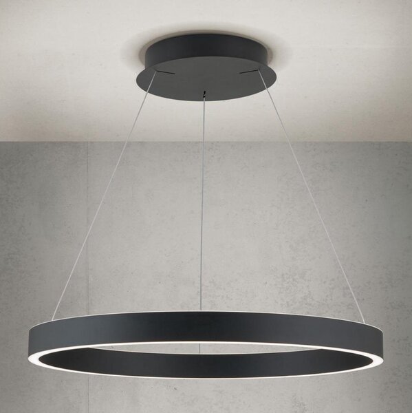 Orion- LED полилей на кабел с възможност за димиране KOLK LED/60W/230V 2700/3000/4000K Ø 60 см черен