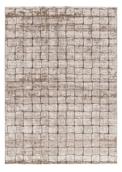 Сиво-бежов килим 80x120 cm Ceres – Universal