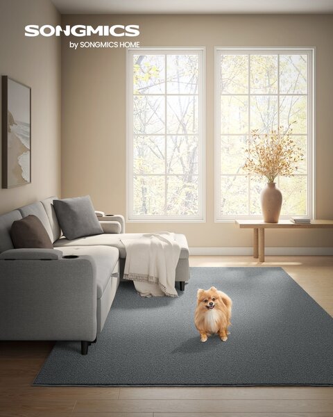 Килим Songmics сив 290x200x0.1 см