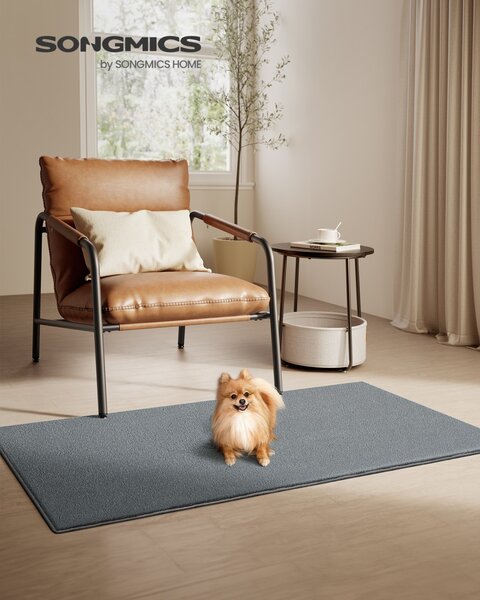 Килим Songmics сив 150x80x0.1 см