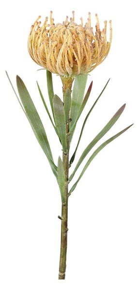 Изкуствено цвете (височина 43 cm) Protea – Ego Dekor