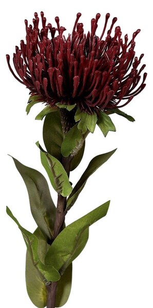 Изкуствено цвете (височина 74 cm) Protea – Ego Dekor