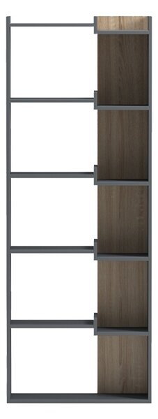 Библиотека, Corpus, антрацит, 22x62x162 см