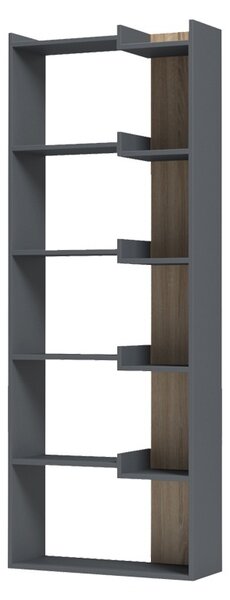 Библиотека, Corpus, антрацит, 22x62x162 см