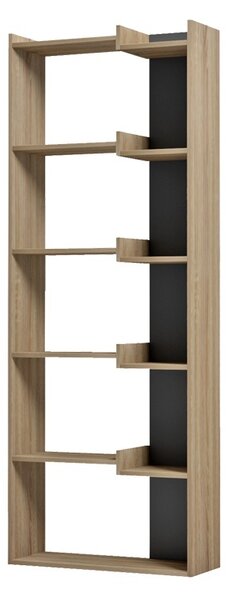Библиотека, Corpus, сонома, 22x62x162 см