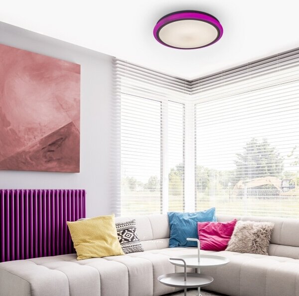 Rabalux 1510 - LED Димируемо таванно осветително тяло LEONIE LED/32W/230V