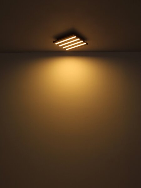 Globo 67347D4 - LED таванно осветително тяло HAYDEN LED/30W/230V 3000K 80x20 см