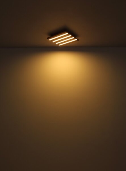 Globo 67347D2 - LED таванно осветително тяло HAYDEN LED/30W/230V 3000K 45x45 cm