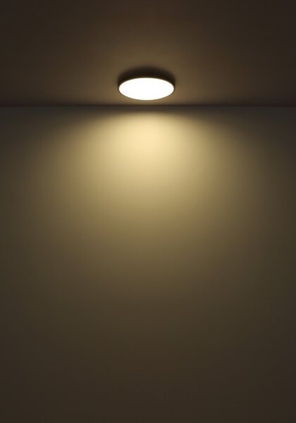 Globo 41566-32S - LED Плафониера NIELSEN LED/32W/230V Ø 40 см черен