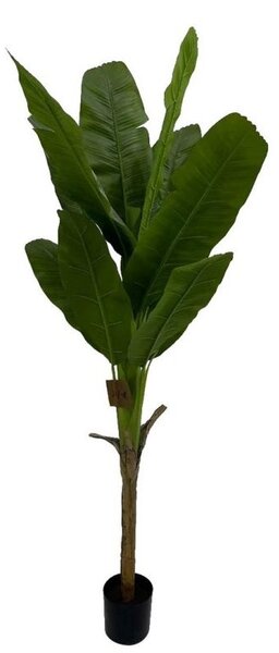 Изкуствено растение Bozzotto, Banana, W-VASE, H210