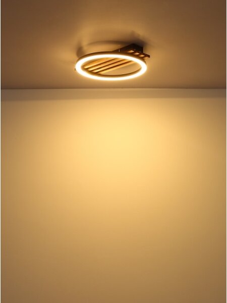 Globo 67353D1 - LED Плафониера TISHA LED/12W/230V 3000K 30x34 см