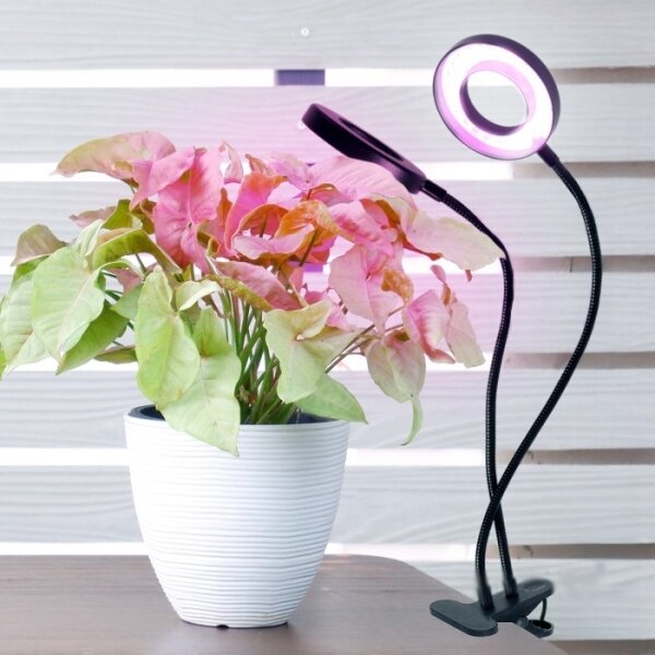 LED гъвкава настолна лампа с клипс за растения VITARO 2xLED/4W/230V черна