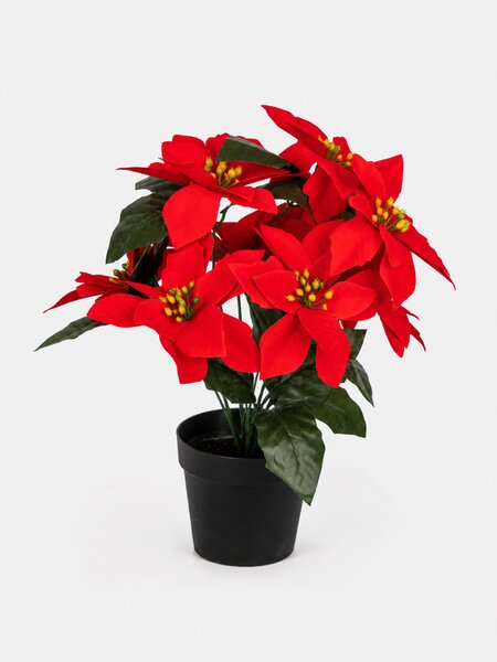 Sinsay - DECORATIVE PLANT - многоцветен