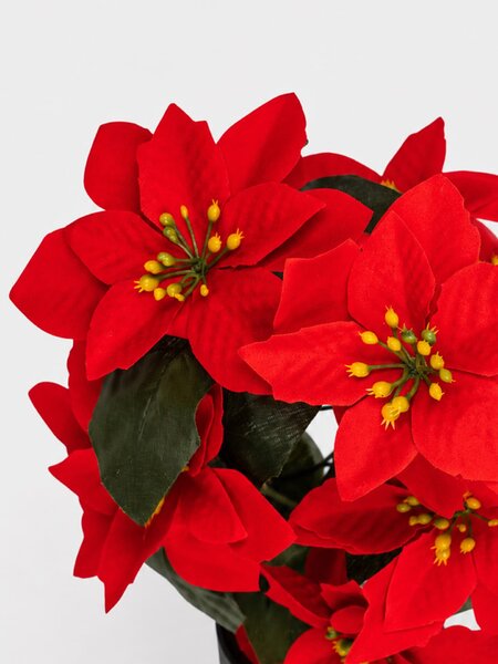 Sinsay - DECORATIVE PLANT - многоцветен