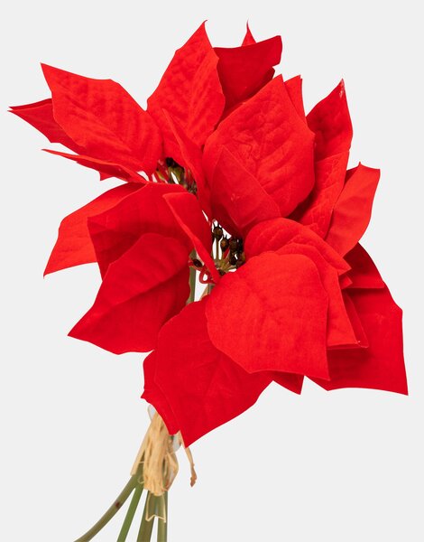 Sinsay - DECORATIVE PLANT - многоцветен