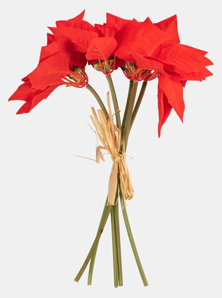 Sinsay - DECORATIVE PLANT - многоцветен