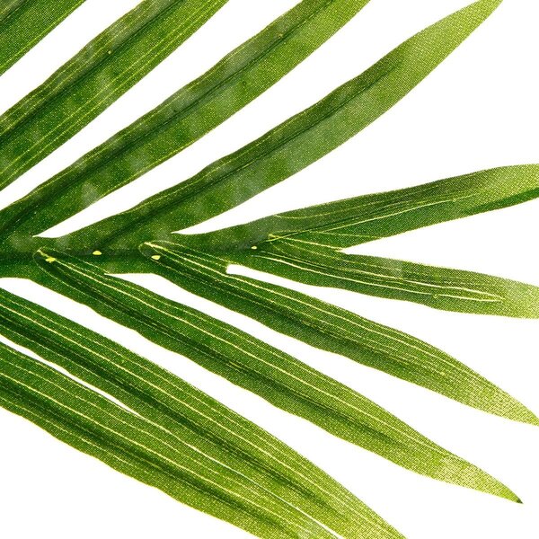Изкуствено растение atmosphera Palm, 170 cm