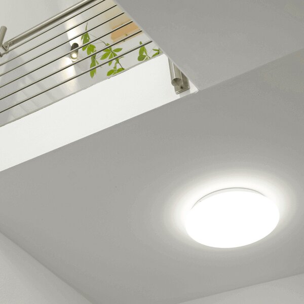 DOTLUX LED осветление за таван LUNA, бяло, Ø 49 cm, 33 W, CCT IP44, Бял, Баня, Пластмаса, Модерен
